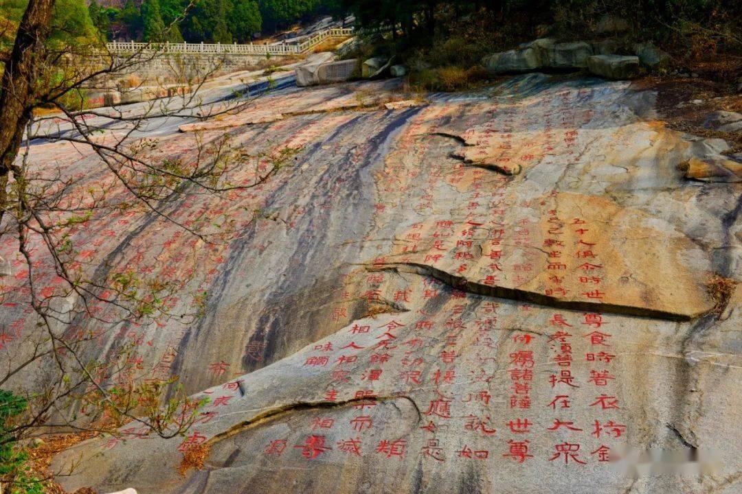 黑龙江粮食交易市场成功启动“基差交易”专场